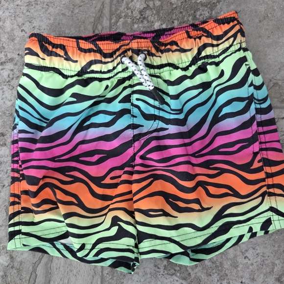 art class Multicolor Zebra Print Kids Swim Trunks - Picture 1 of 3